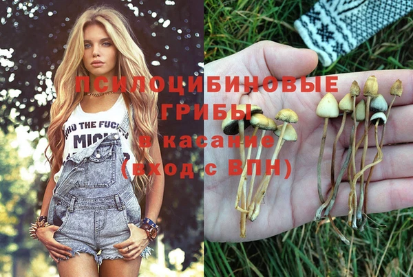 прущий лед Алексеевка