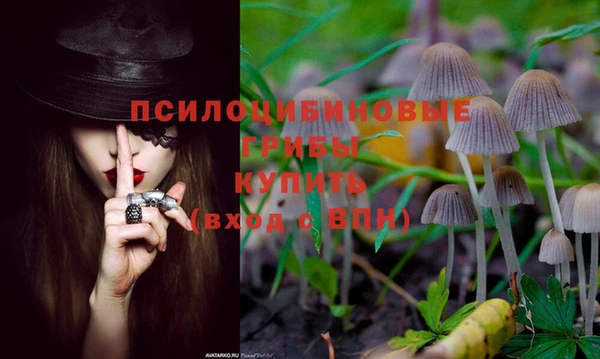 прущий лед Алексеевка